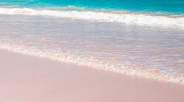 Click to Arrange a Charter - Photo of a Beach Photo of a Beach