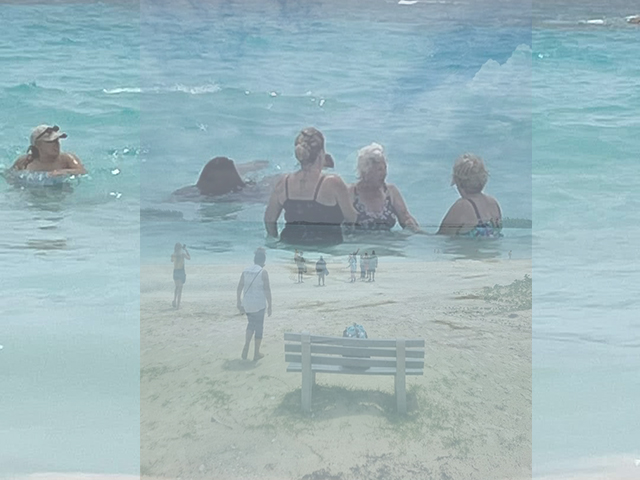 Photo of tour group of people swimming at Horseshoe Bay beach Photo of tour group of people swimming at Horseshoe Bay beach