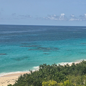 Photo of Warwick Long Bay beach Photo of Warwick Long Bay beach